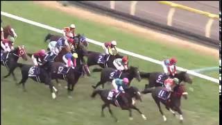 【競馬】第31回ジャパンカップ（GI）2011/11/27結果　1着ブエナビスタ