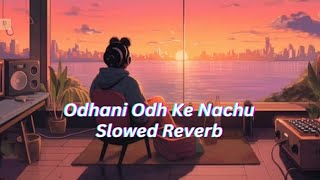Odhani Odh Ke Nachu Lofi | Tere Naam | Salman Khan, Bhoomika Chawla | Slowed & Reverb | Moon City