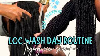 Washing My Sisterlocks + Products