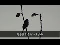 【愛したんじゃない】　オリジナルソング　takashi sakiyabu　サキヤブタカシ　崎藪　孝