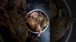 କଙ୍କଡ଼ା, ଆଳୁ ତରକାରୀ/odia kankada tarkari/crab curry recipe /shorts 🦀🦀#shortsyt #viral #shortvideo