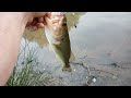 using a beetle spin to catch bass in my pond. 20220501 190026