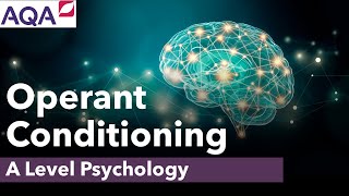 Operant Conditioning | Behaviourism | A Level Psychology