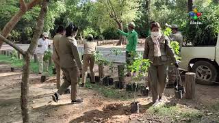 [10.05.21] អាជ្ញាធរជាតិអប្សរា កំពុងបង្កើនសកម្មភាពថែទាំសម្រស់ប្រាសាទ និងគម្របបៃតង ក្នុងតំបន់