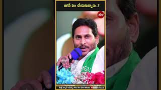 జగన్ ఏం చేయనున్నారు | #ysjagan #ysrcp #ysrcpleaders #ysjaganmohanreddy #birdmedia