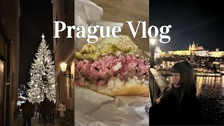 오후의 프라하 Vlog🇨🇿 야경. 나세마소 햄버거. 크리스마스 마켓. 야식. 라면애밥