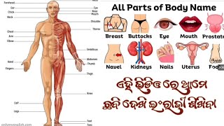 All PARTS OF BODY NAMES ଶରୀରର ବିଭିନ୍ନ ପ୍ରକାର ଅଙ୍ଗ ପ୍ରତ୍ୟଙ୍ଗ ର ନାମ ଓଡ଼ିଆ ରୁ ଇଂରାଜି ଶିକ୍ଷ୍ୟା viral #!!