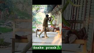 fake snake prank | Big snake prank #snakeprank #snake_prank #funny by Rk Pranks