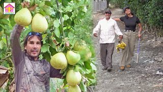 Encontramos el ABUELO DE SULEYKA y es MILLONARIO