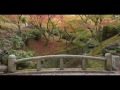 beautiful kyoto autumn 2016 tōfuku ji 4k