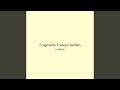Fragments Tranquil Golden