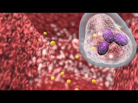 How can an infection get into the body?