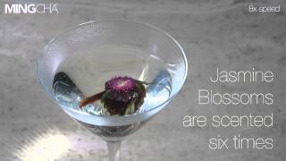 How to brew Jasmine Blossoms