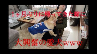 「白血病の嫁と愛犬の感動の再会」