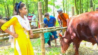 ভাগে গরু কেনা | অস্থির হাসির কৌতুক | Eid Comedy | Vadaima Koutuk | New Natok 2021