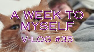 🌟 Being Productive Or Barely Doing Anything At All? 🌟 Cosmic Cat Creation Studio V-log #35 🌟