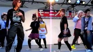 三田爆音2008 都会っ子純情　2008/11/21