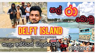 Delft Island Srilanka | කැලෑ අශ්වයන් ඉන්න ලංකාවේ ලොකුම දූපත | Jaffna Tour | HEADSTRONG TRAVELING