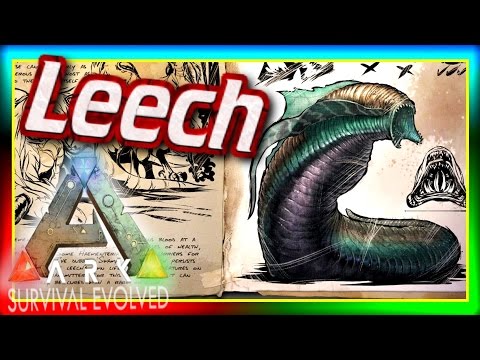 LEECH! (ARK: Survival Evolved Dossier/News) #85: Leeches Update & Spotlight LEECH! (ARK: Survival Evolved Dossier/News) #85: Leeches Update & Spotlight