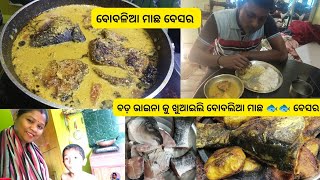 ମୋ ବଡ ଭାଇନା କୁ ଖୁଆଇଲି ଗୋଟେ ବୋବାଲିଆ ମାଛ🐟 🐟ବେସର/ଖାଇଲେ ହାତ ଚାଟି ଚାଟି ଖାଇବେ।#fish#recipes#odia#odiavlog