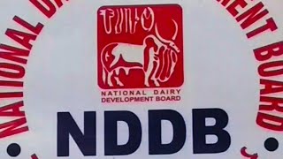 NDDB/ NATIONAL DAIRY DEVELOPMENT BORD/ KITCHEN ROOM/ MATIGARA, SILIGURI/DARJEELING/ WEST BENGAL.#JPT