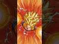 ｛dragonballドラゴンボール｝龍拳爆発