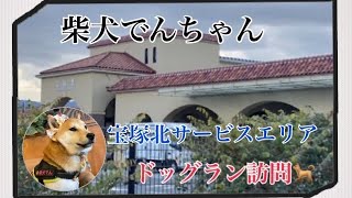 柴犬でんちゃん　宝塚北サービスエリアのラン訪問🐕