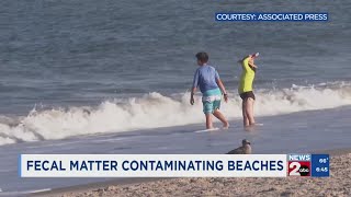 Fecal matter contaminating beaches