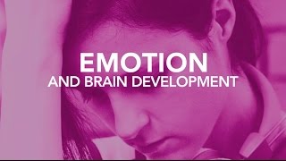 Emotion and the Developing Brain
