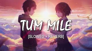 Tum Mile [Slowed+Reverb] - Javed Ali | Lofi Editz