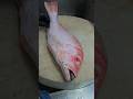 Cutting Skills Massive Queen Red Snapper Fish#shorts