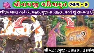 🙏શ્રીજી બાવા અને🏵️શ્રી મહાપ્રભુજીના પ્રાકટ્ય વચ્ચે શું સામ્યતા છે | govardhan ki puja | pushti video