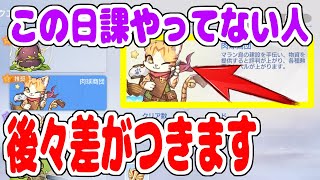 【ラグオリ🔰解説】デイリーにある肉球商団をやってない方は見てください　毎日コツコツやることでキャラが強くなります