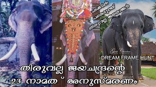 Thiruvalla  Jayarajan | #aana #aanapranthan #aanapremi #aanapremikal #aanakeralam #keralaelephant