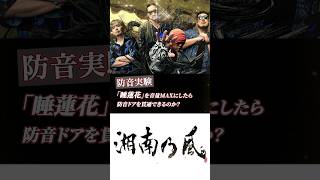 「睡蓮花」音量MAXなら最強防音ドア「ガーティアン」を突破できるのか？ #防音室 #防音 #diy #湘南乃風