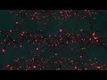 Creating Abstract Plexus Style Looping Animation Using Blender
