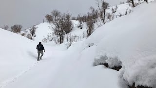 Li Şirnex û Colemêrgê Zivistan/بەفربارین لە چیا و دارستانەکانی شرناخ و هەکاری