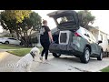 lagotto romagnolo training gio los angeles ca