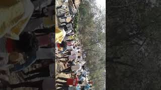 Pendur Gav Holi Celebration