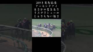 2019有馬記念🐴アーモンドアイまさかの置き去り。リスグラシューのとんでもない強さ。#有馬記念 #アーモンドアイ #リスグラシュー #サートゥルナーリア