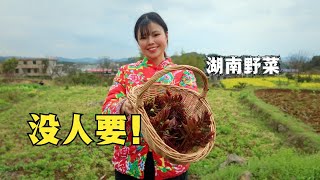 湖南满山的野菜香椿，没人要一采就一大把，咖喱教大家区分臭椿。