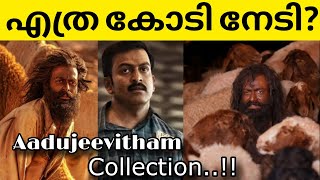 ആടുജീവിതം തിയേറ്ററിൽ നിന്നും നേടിയത്...!?|Aadujeevitham Movie|Prithvraj|Real Najeeb|Trending