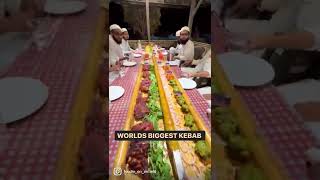 Worlds biggest kebab 10 foot long kebab at sigdi surat street food