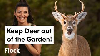 How We're Keeping DEER Out of the GARDEN  & LAND — Ep. 298