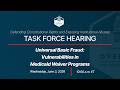 Universal Basic Fraud: Vulnerabilities in Medicaid Waiver Programs