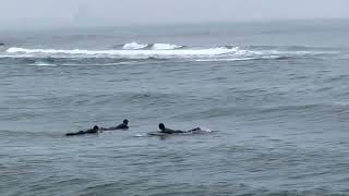 弓ヶ浜半島の生い立ち　皆生温泉足湯　鳥取県