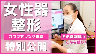 【VIO整形】女性器施術の実際のカウンセリング・診察風景