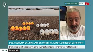 ▪️ Doğa koruma çalışmaları ile turizm faaliyetleri çatışmak zorunda mı?