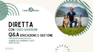 Serata Consigli Educativi [Q\u0026A Educazione e Gestione]