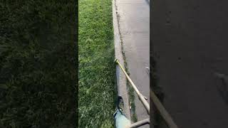 Smoothest trimming with a Stihl 91r #subscribe #watch #fypシ #fyp #shortsvideo #shorts #viral #like